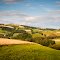 Polish landscape