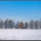 Zima / The winter - malby
