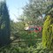Swarzędz - ogródek nad Cybiną