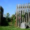 My mother`s in law garden