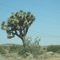 2011 July - Near Victorville, California