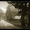 a foggy winter day - Jedlanka Kepiny