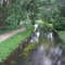 Rzeka Czarna Hańcza - 13/06/2008