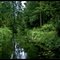 Rivulet / Struga - Sasek