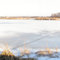 Zamosc - zalew panorama