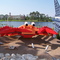 Lego Crab