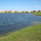 Otters playing in the water behind my cousin's house 1--look close!, Bellalago, Kissimmee, FL