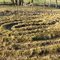 Labyrinth