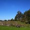 Skavsta.Sverige
