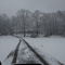 Snow day!