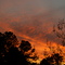 Blazing sky