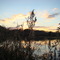 Phillips Lake Setting