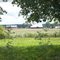 Farm (Olarsgården) from Göta Canal