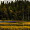 Sweden..