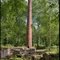 Ruin efter Transjö glasbruk