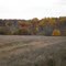 Autumn in Iowa