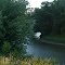 Views from Flint Creek Trail