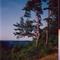 Seatons Kulle, Torestorp