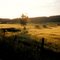 Gunnestorp, Halland 1997