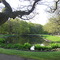 Pond,  Varberg