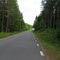 The road between Forsvik and Mölltorp 2010