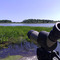 Säbysjön