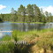 Lake Skalltjärn (Sweden)