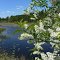 Mellan Åkers styckebruk och Merlänna, Sörmland