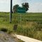 The Town Of Mayberry, Illinois......(1622394350)