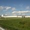 Near Crouch, Illinois On Rt. 242 North Of Mcleansboro, Illinois...(1622394350)