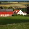Little farm