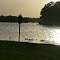 Ducks on the Lake