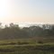 Kentucky Sunrise