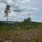 Panorama över Helgum 2