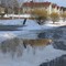 Vårfoto i Långsele
