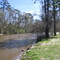 Bogue Falaya River at Bogue Falaya Park, downstream