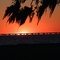Spanish moss & Lake Ponchartrain