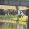 fishing along the bayou with her friend, Mr. Egret