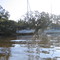 Bayou Castine post Katrina
