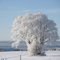 winter in Lunne