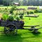 Barrow with flowers, Orsa Sweden