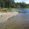 Little lake in the forest