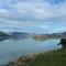Pukekaroro (try to say that three times fast!)