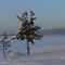 Ludvika 1