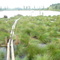 Wetland restoration project at Porla
