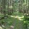 Prästastigen, Elkarlön