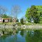 Swedish red house and spring greenery