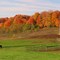 Autumn in Mecosta County, MI