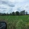 big rapids