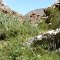 Lover's Walk, Montagu